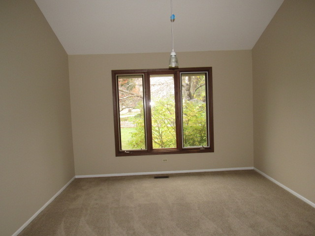 320 Forest Ave, Roselle, IL 60172 photo 4