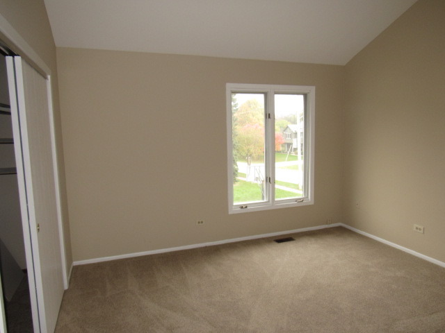 320 Forest Ave, Roselle, IL 60172 photo 17