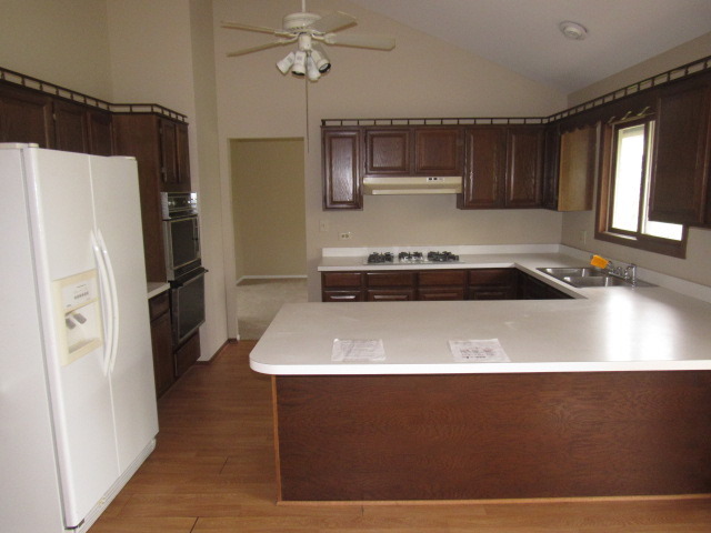 320 Forest Ave, Roselle, IL 60172 photo 6