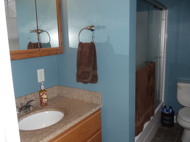 21653 E 3100 North Rd, Dwight, IL 60420 photo 14