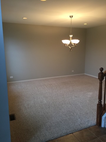 1004 Balmoral Ln, Elgin, IL 60120 photo 14