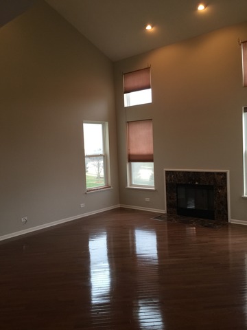 1004 Balmoral Ln, Elgin, IL 60120 photo 11