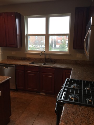 1004 Balmoral Ln, Elgin, IL 60120 photo 13