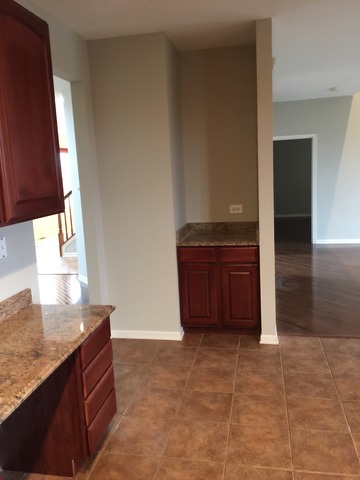 1004 Balmoral Ln, Elgin, IL 60120 photo 12