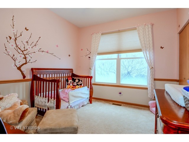 2934 Arbor Ln, Aurora, IL 60502 photo 8