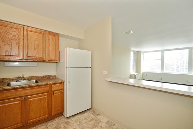 30 Elm St #20D, Chicago, IL 60611 photo 5