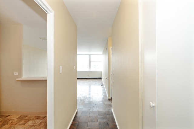 30 Elm St #20D, Chicago, IL 60611 photo 6
