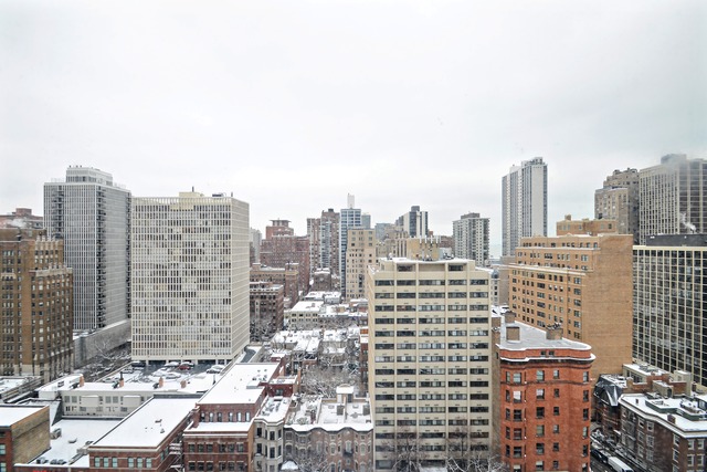 30 Elm St #20D, Chicago, IL 60611 photo 10