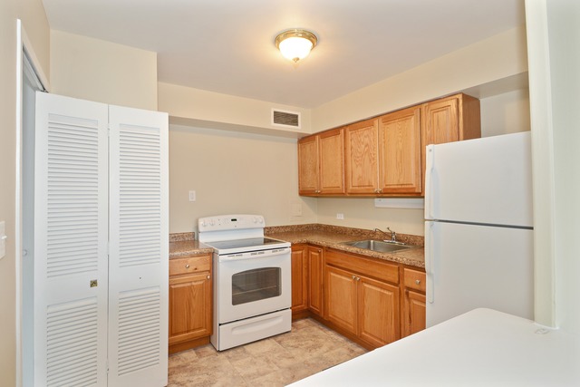 30 Elm St #20D, Chicago, IL 60611 photo 4