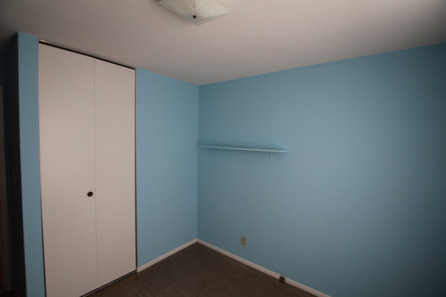 408 E Park St, Plano, IL 60545 photo 7