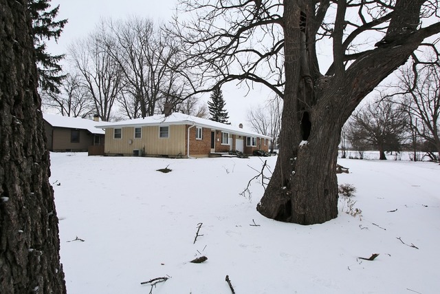 800 Goethe St, Elgin, IL 60123 photo 23