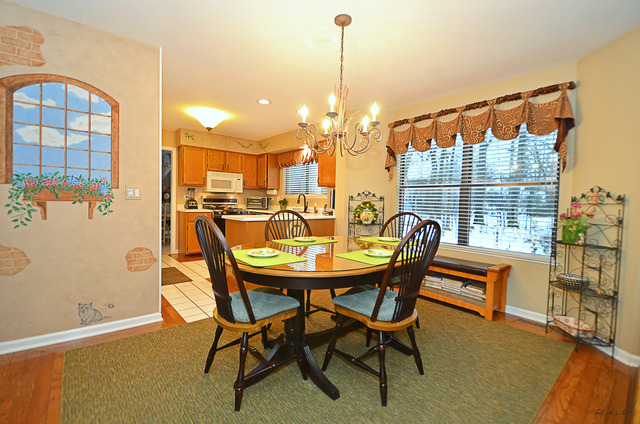 723 Red Bud Ct, Bartlett, IL 60103 photo 8