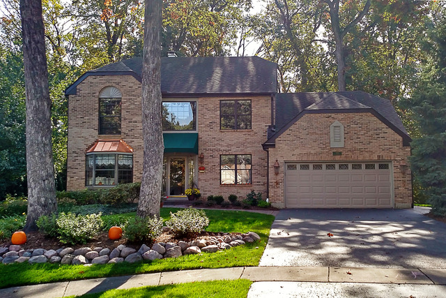 723 Red Bud Ct, Bartlett, IL 60103 photo 2