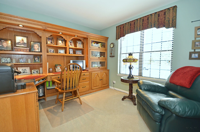 723 Red Bud Ct, Bartlett, IL 60103 photo 5