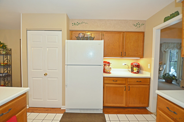 723 Red Bud Ct, Bartlett, IL 60103 photo 7