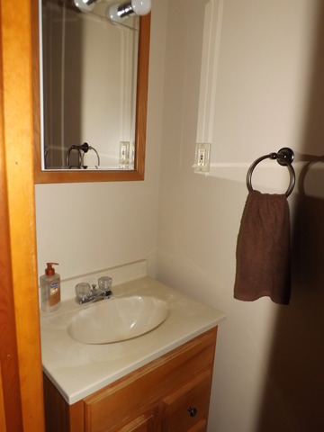 730 E North St, Morris, IL 60450 photo 21
