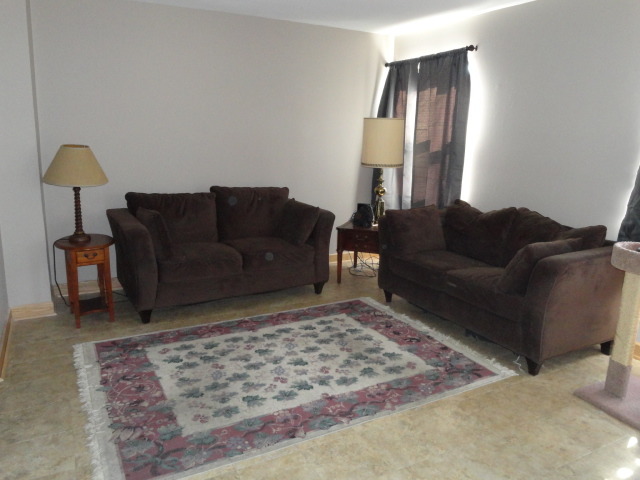 1514 Brookside Dr, Hoffman Estates, IL 60169 photo 14