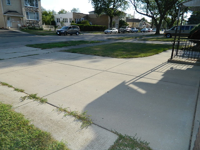 8712 44th St, Lyons, IL 60534 photo 10
