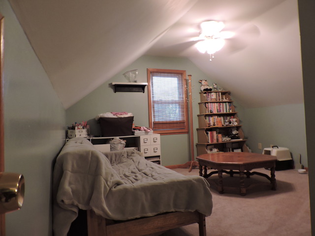 645 S Rutledge Ave, Kankakee, IL 60901 photo 18