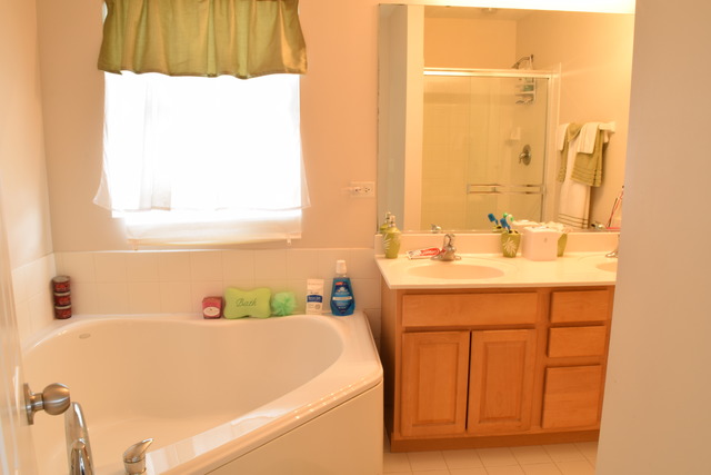 1308 Bridgehampton Dr, Plainfield, IL 60586 photo 9