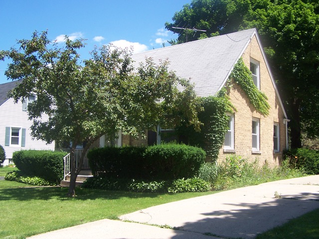 319 S Wolf Rd, Des Plaines, IL 60016 photo 25