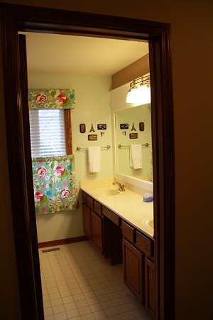 52 Ivanhoe Ln, Cary, IL 60013 photo 19