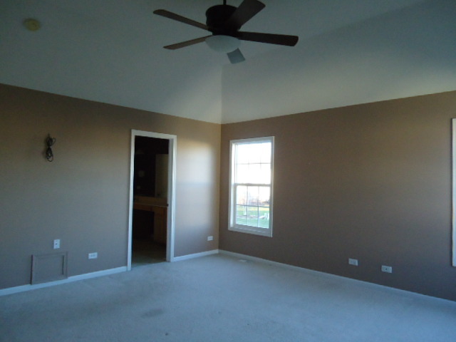 16324 S Arbor Dr, Plainfield, IL 60544 photo 9