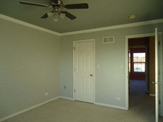 16324 S Arbor Dr, Plainfield, IL 60544 photo 15