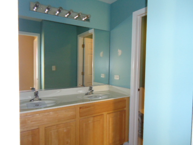 16324 S Arbor Dr, Plainfield, IL 60544 photo 16