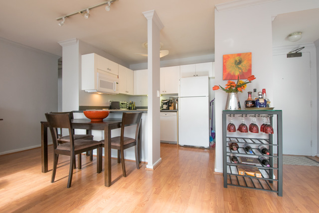 33 E Cedar St #5D, Chicago, IL 60611 photo 5