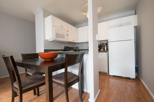 33 E Cedar St #5D, Chicago, IL 60611 photo 6