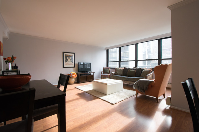 33 E Cedar St #5D, Chicago, IL 60611 photo 3
