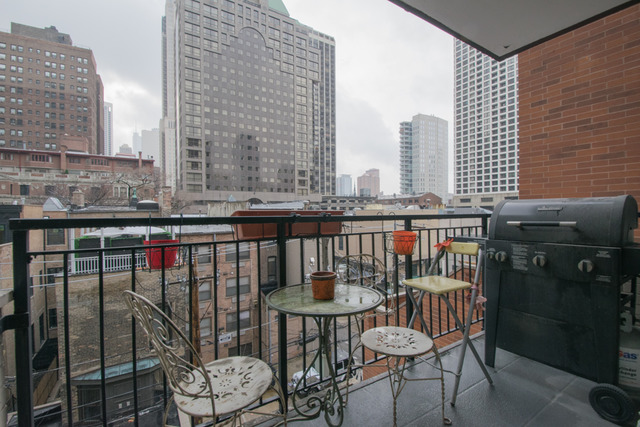 33 E Cedar St #5D, Chicago, IL 60611 photo 9