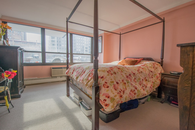33 E Cedar St #5D, Chicago, IL 60611 photo 7