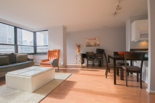 33 E Cedar St #5D, Chicago, IL 60611 photo 4