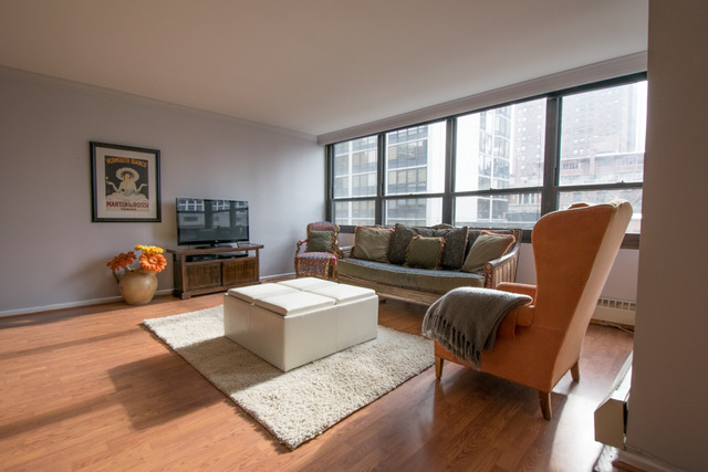 33 E Cedar St #5D, Chicago, IL 60611 photo 2