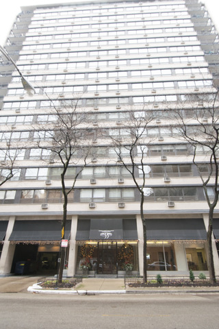 33 E Cedar St #5D, Chicago, IL 60611 photo 1