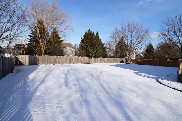 2110 Carlisle St, Algonquin, IL 60102 photo 24