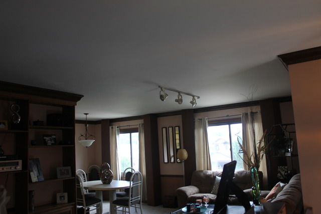 1395 Chippewa Trl, Wheeling, IL 60090 photo 3