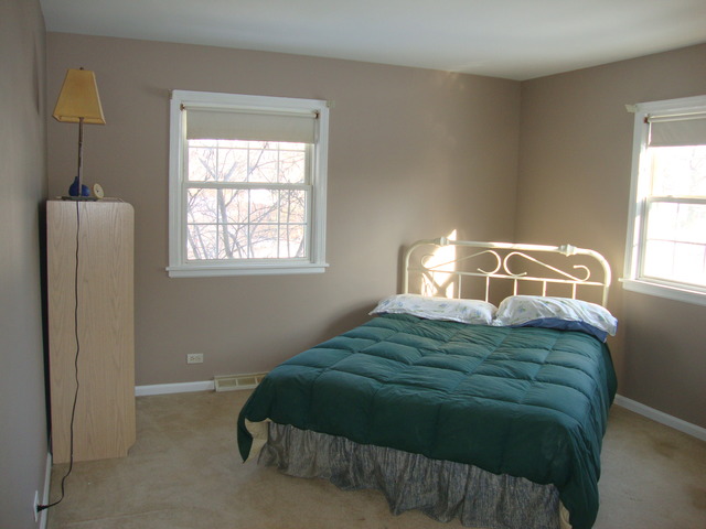106 George St, Wheaton, IL 60189 photo 14