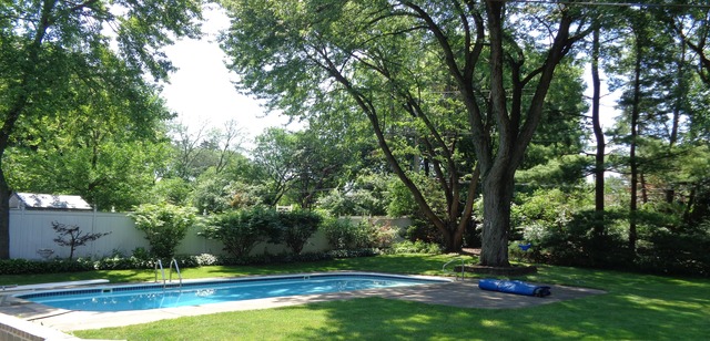 106 George St, Wheaton, IL 60189 photo 11