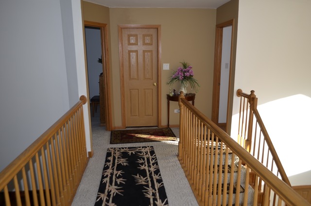 30 S Hampton Ct, Crete, IL 60417 photo 14