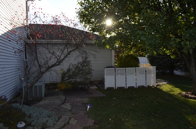 30 S Hampton Ct, Crete, IL 60417 photo 22