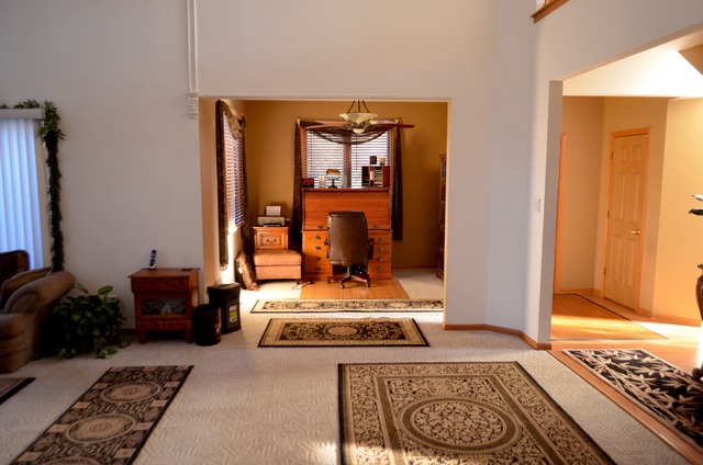 30 S Hampton Ct, Crete, IL 60417 photo 7