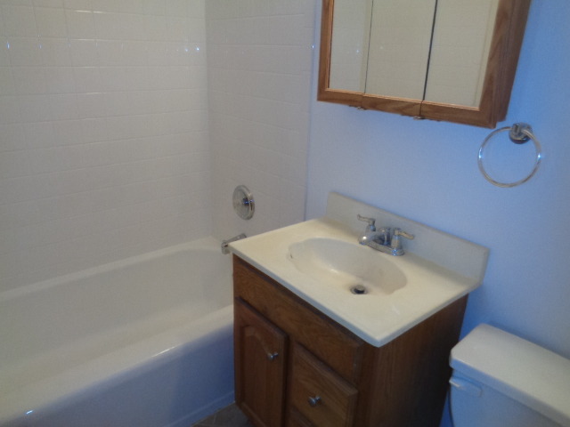 13 Mohawk Dr, Thornton, IL 60476 photo 5