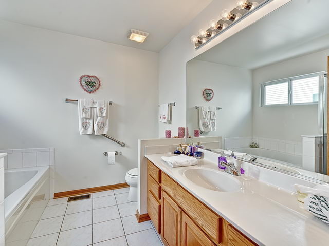 13832 S Tamarack Dr, Plainfield, IL 60544 photo 17