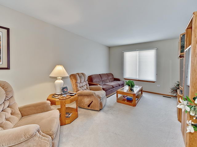 13832 S Tamarack Dr, Plainfield, IL 60544 photo 19