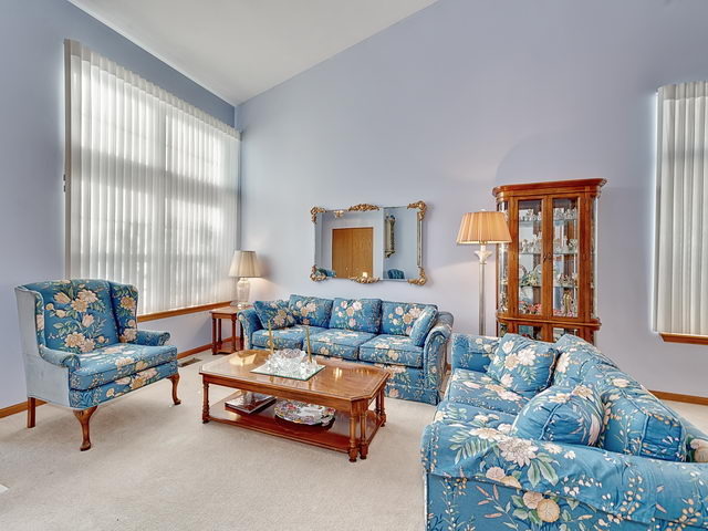 13832 S Tamarack Dr, Plainfield, IL 60544 photo 4
