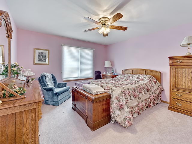 13832 S Tamarack Dr, Plainfield, IL 60544 photo 20