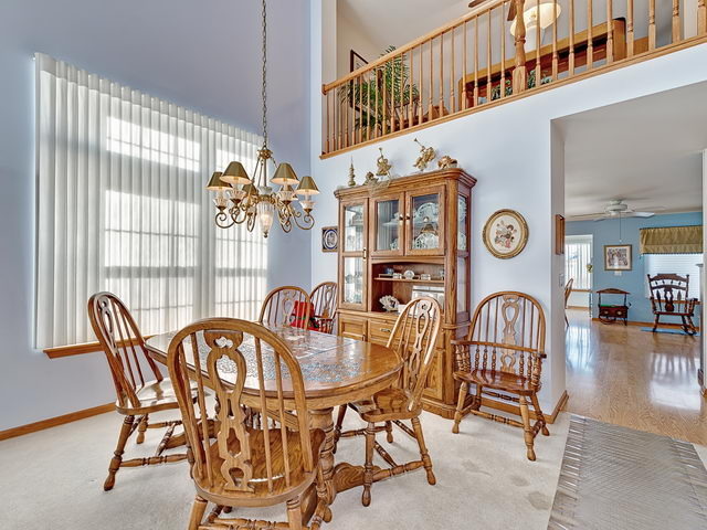 13832 S Tamarack Dr, Plainfield, IL 60544 photo 5